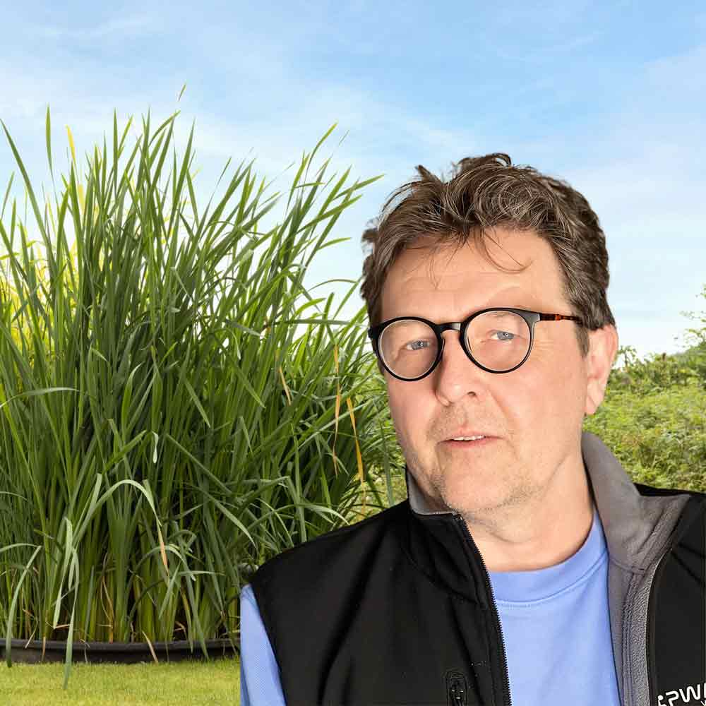 Ulf Lindström